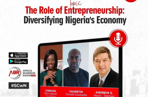 The Role of Entrepreneurship in Diversifying the Nigerian Economy